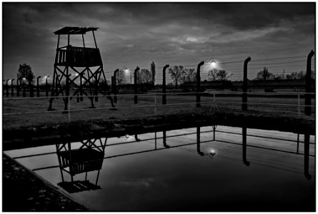 2016-11 Auschwitz- 17-20161111 photo
