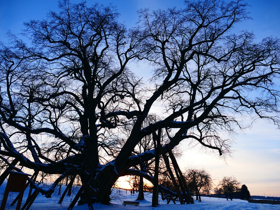 Natural monument large winter