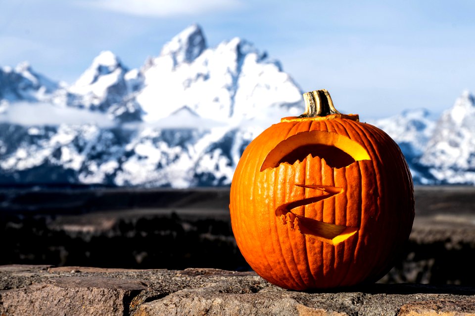 Snake River Overlook Carved Pumpkin