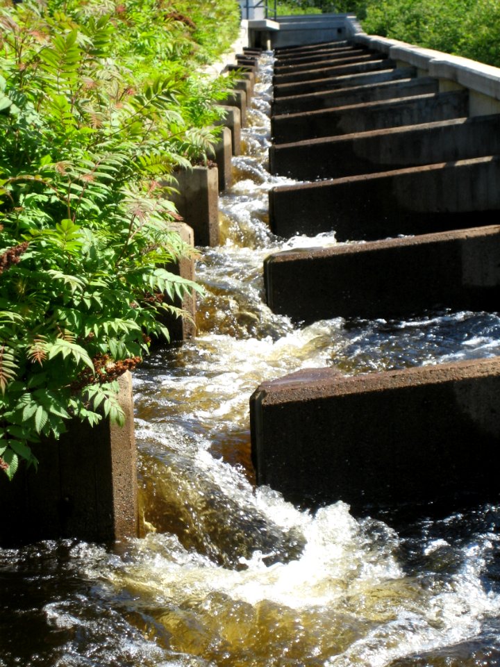 Fish ladders in Oulu, Finland