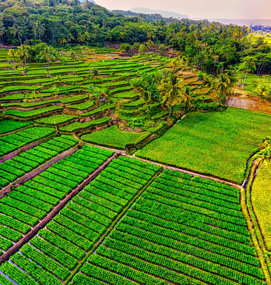 aerial-agriculture-beautiful-country-2897194