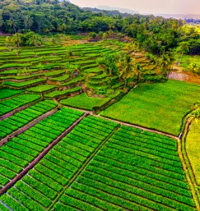 aerial-agriculture-beautiful-country-2897194
