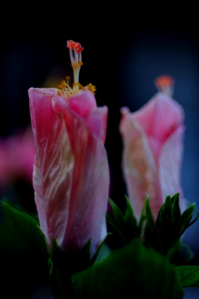 DSCF1962