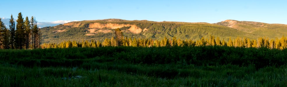 Views from Grassy Lake Road