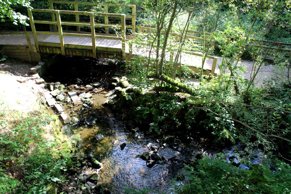 Golden Acre Park - Leeds
