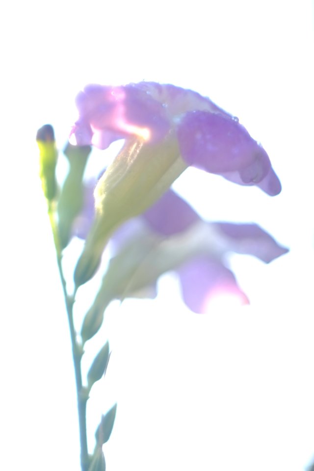 DSCF1546