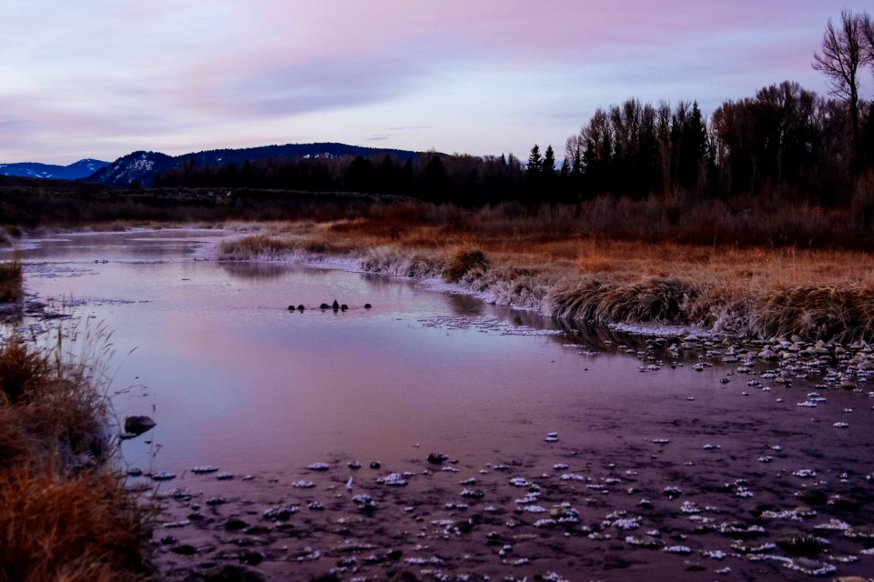 Schwabachers Landing
