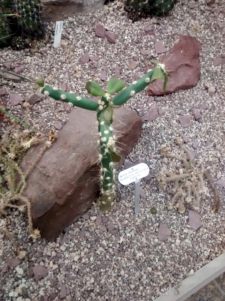 Botanical Garden
