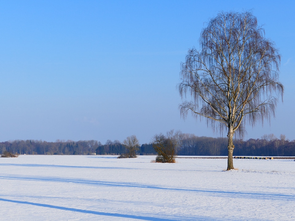 Nature snow landscape photo