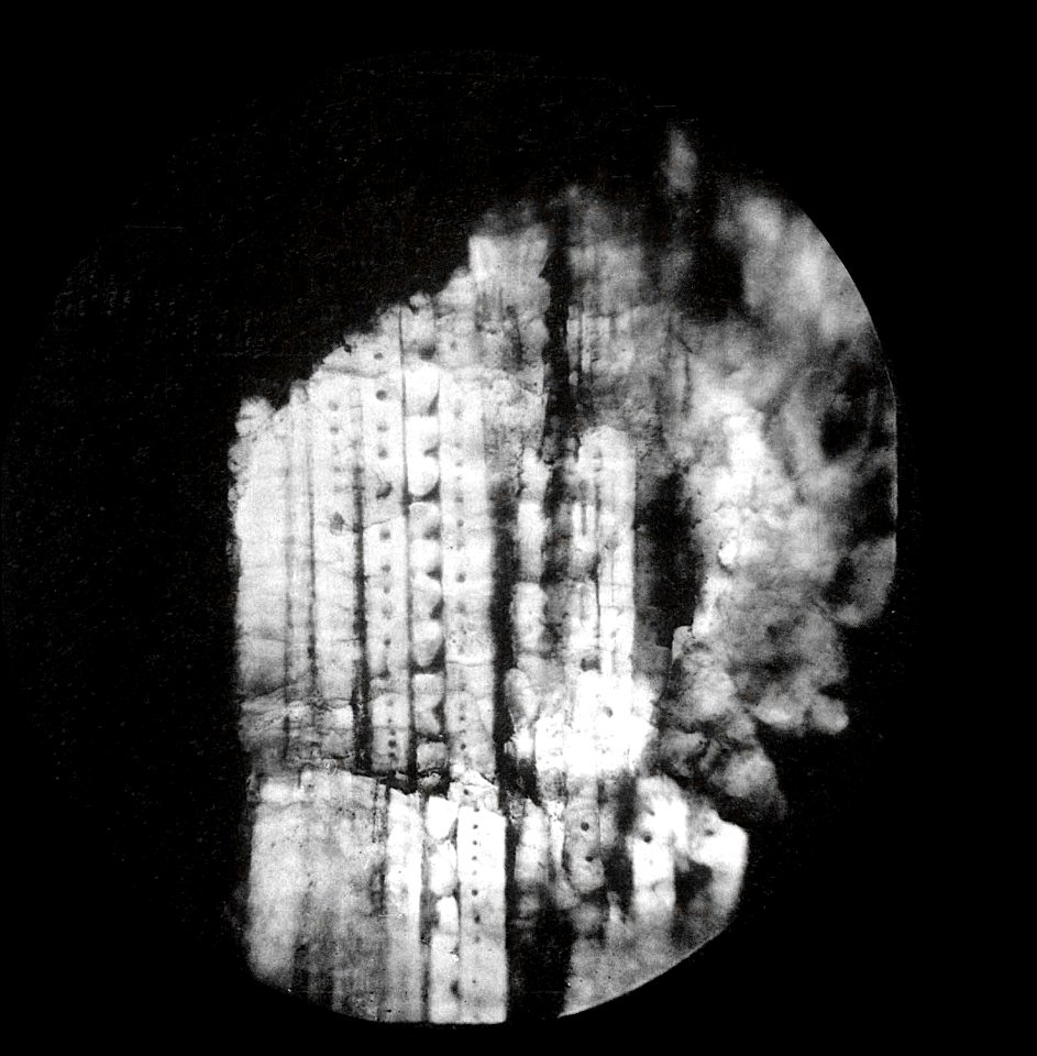Table 15 - Figure 1