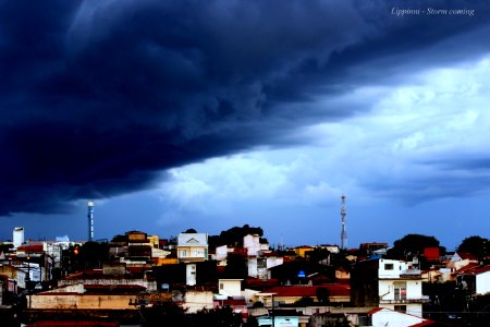 lippinni storm coming