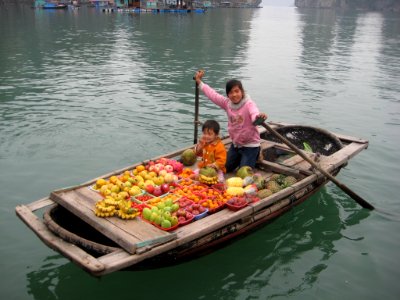 Selling fruit by boat, Vietnam photo