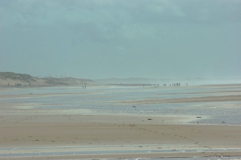 Surfers in the distance
