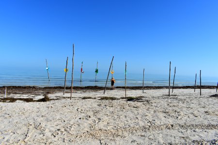 DSC 0921