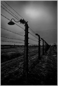 2016-11 Auschwitz- 25-20161111 photo