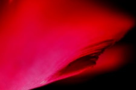DSCF3093