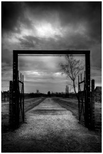 2016-11 Auschwitz- 18-20161111 photo