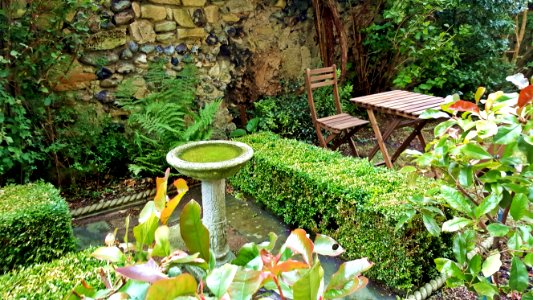 St Peter's inner garden
