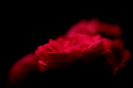 DSCF9851