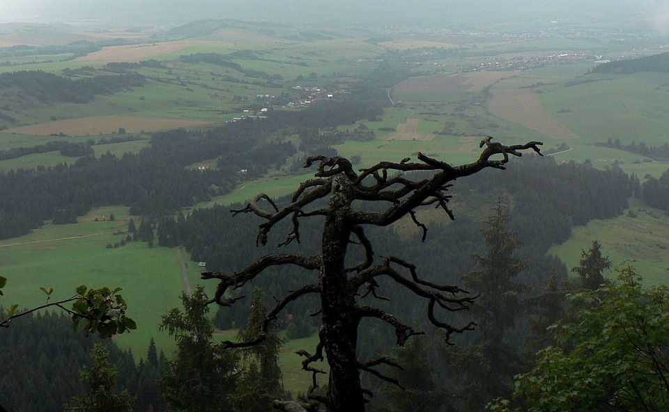 Countryside view panorama
