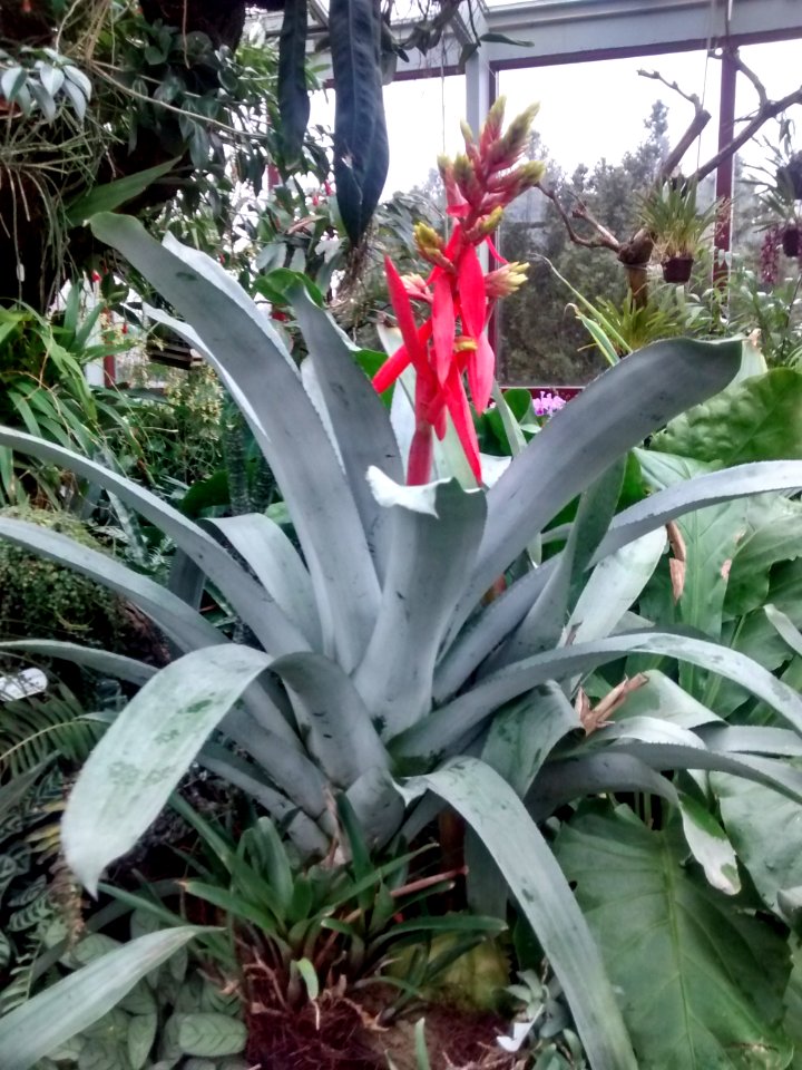 Botanical Garden