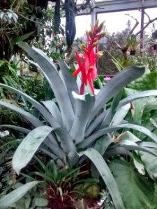 Botanical Garden