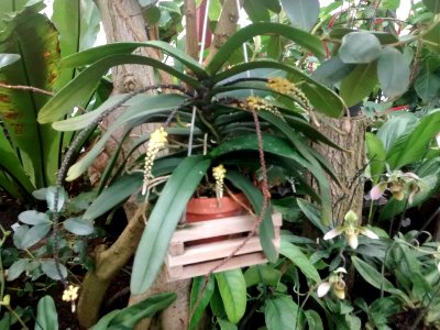 Botanical Garden