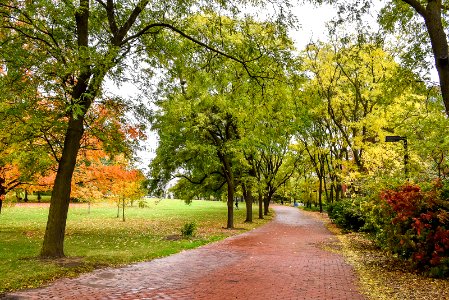 Alumni Walk
