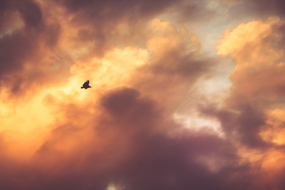 Sun orange cloud