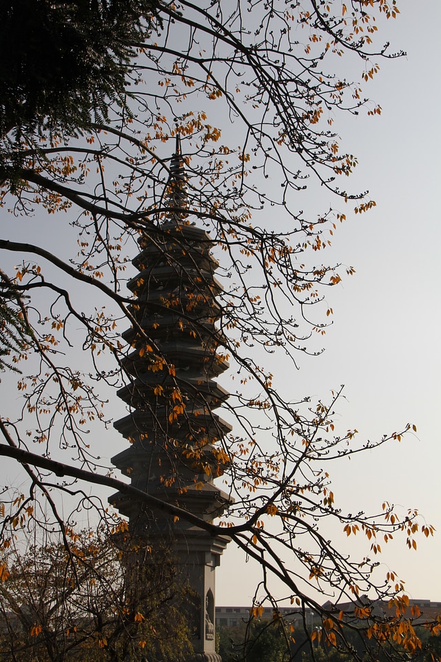 South putuo temple small fresh autumn