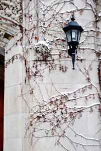 Winter - Johnston Hall