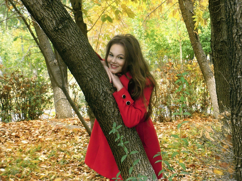 Autumn leaves tree nature