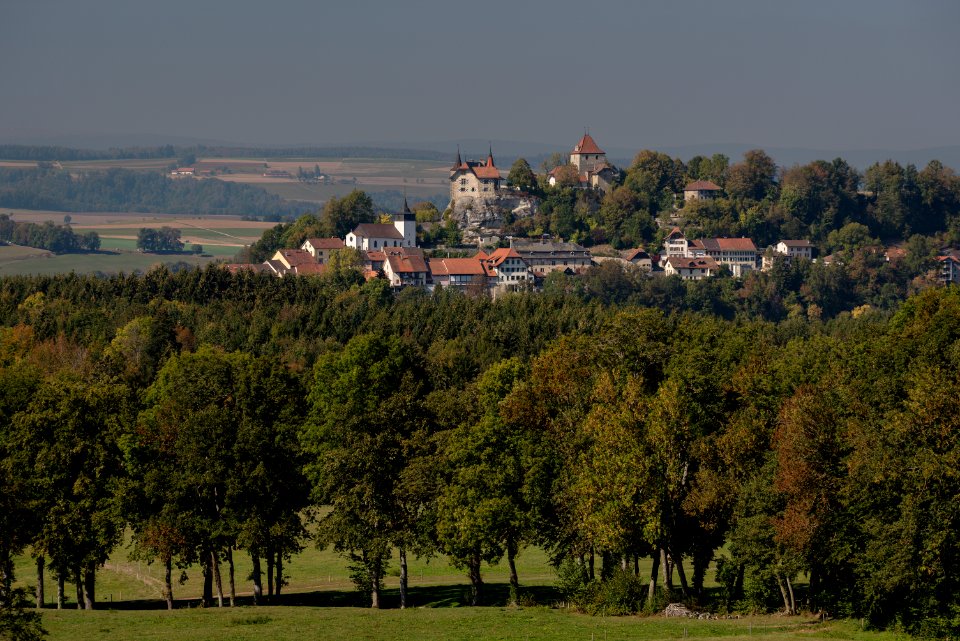 Château de Rue