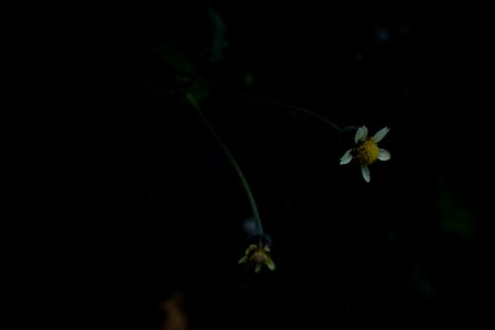 DSCF9801