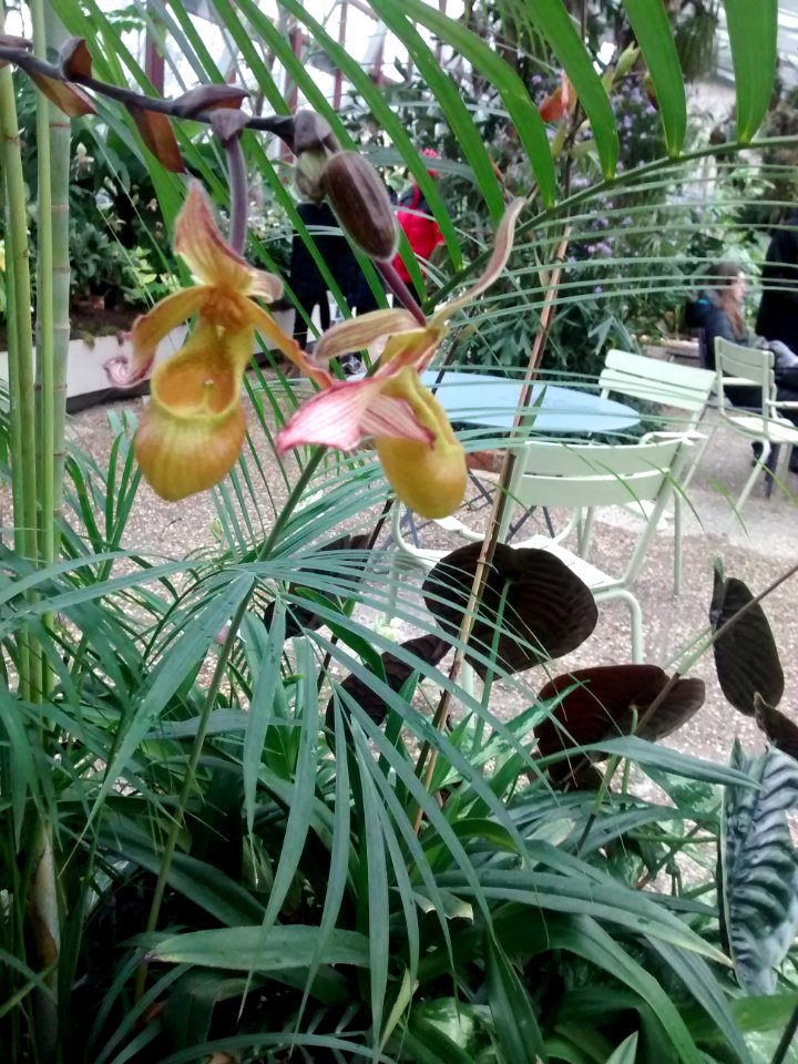 Botanical Garden