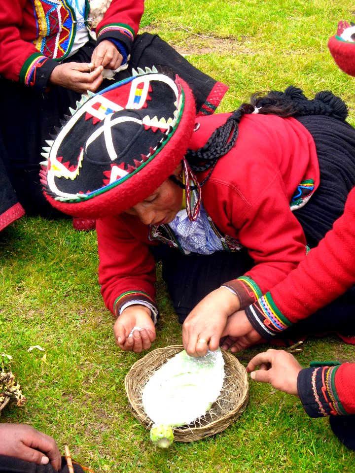 8 INDIGENA-CERCA CHINCHORO-  47