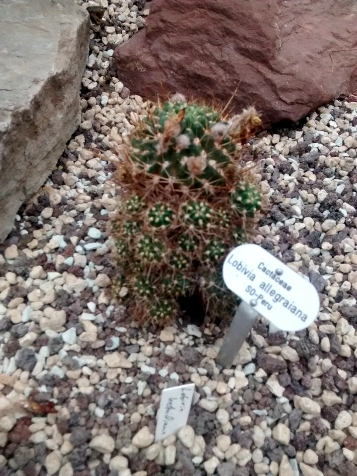 Botanical Garden