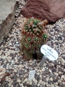 Botanical Garden