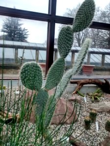 Botanical Garden