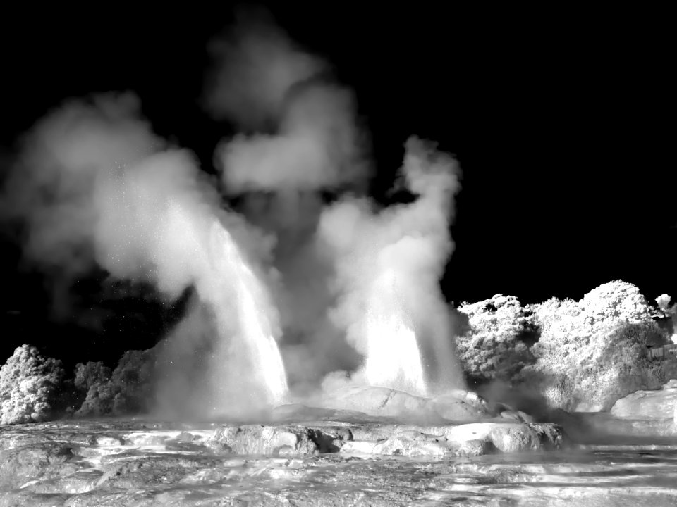 Twin Geysers