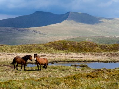 Brecon Beacons National Park