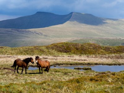 Brecon Beacons National Park photo