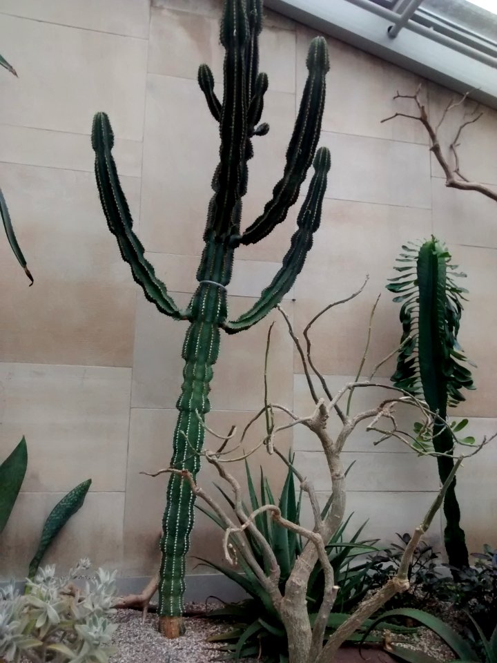 Botanical Garden