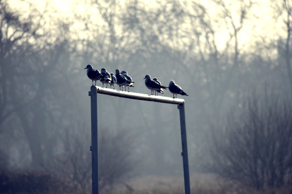 Waiting for a goalkeeper