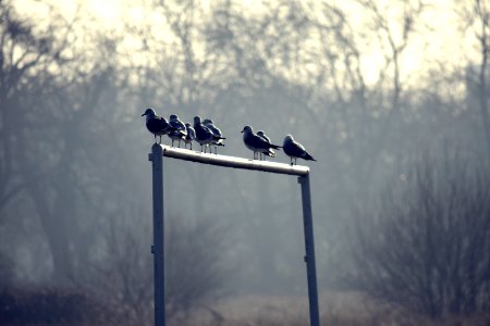 Waiting for a goalkeeper