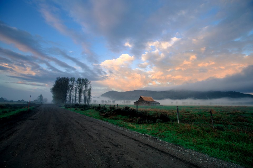 Looking down the road at Mormon Row
