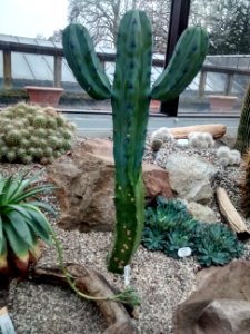 Botanical Garden