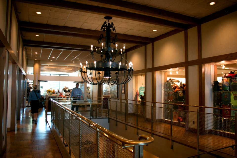 Jackson Lake Lodge Stairs
