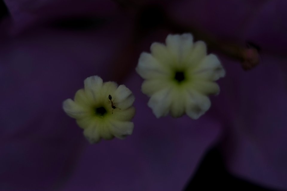 疲れた