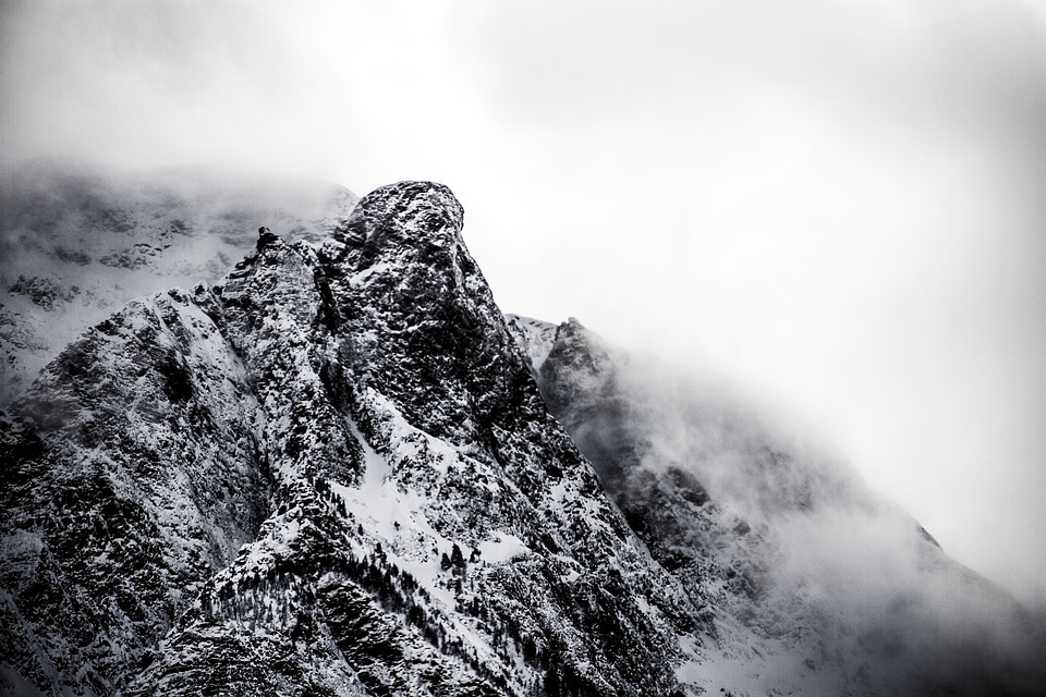 Fog foggy mountain landscape